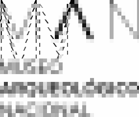 Logo Museo Arqueológico Nacional